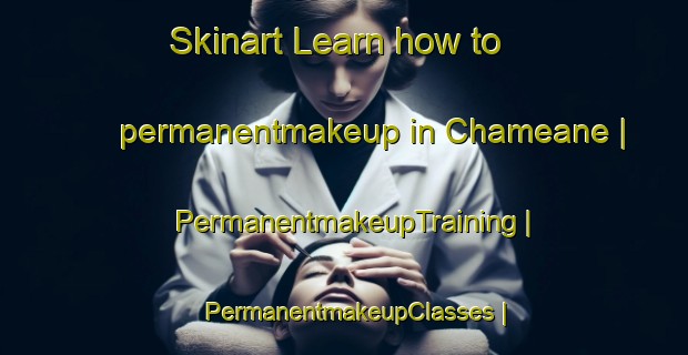 Skinart Learn how to permanentmakeup in Chameane | PermanentmakeupTraining | PermanentmakeupClasses | SkinartTraining-France
